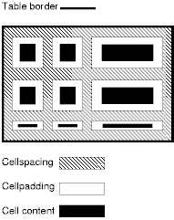 Immagine che illustra come sono correlati gli attributi cellspacing e cellpadding.