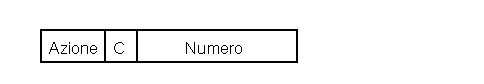 Struttura del Campo Tipo