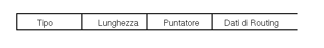 Opzioni Source Routing