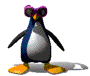 pinguino danzante