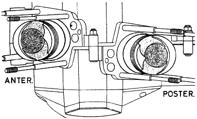 Fig. 19