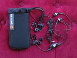 Astuccio e auricolari