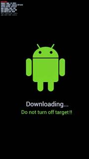 Download Mode
