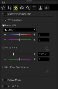 OM Workspace: the Editing Palette