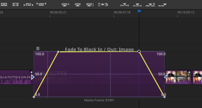 Keyframe Tool on the Fade to Black In/Out filter