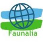 faunalia.png