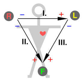 Il triangolo Einthoven - Da it.wikipedia.org ECG-Einthoven-triangle.svg