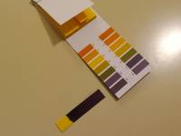 Dellwing detergente alcalino concentrato