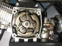 Frizione centrifuga