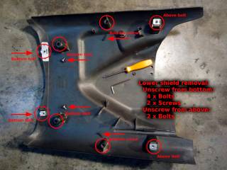 Removing the Lower Shield